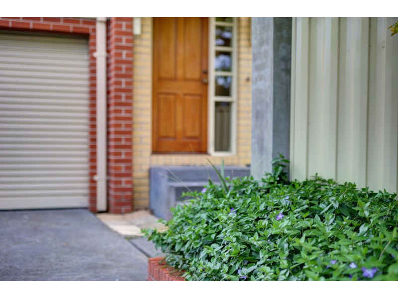 1/2D Ireland Street, Burwood VIC 3125