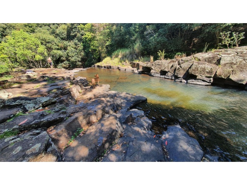 262 Rous road, Goonellabah NSW 2480