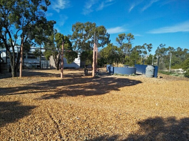 WLL16365 New Chum, Lightning Ridge NSW 2834