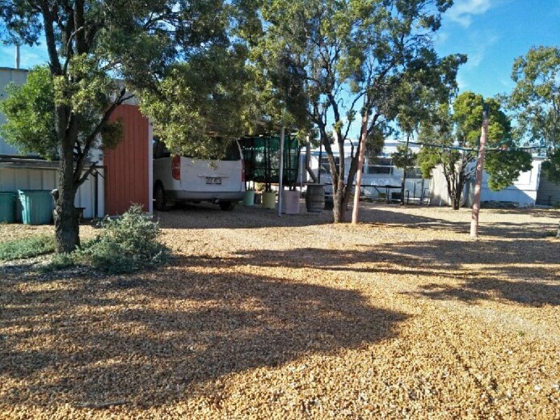 WLL16365 New Chum, Lightning Ridge NSW 2834