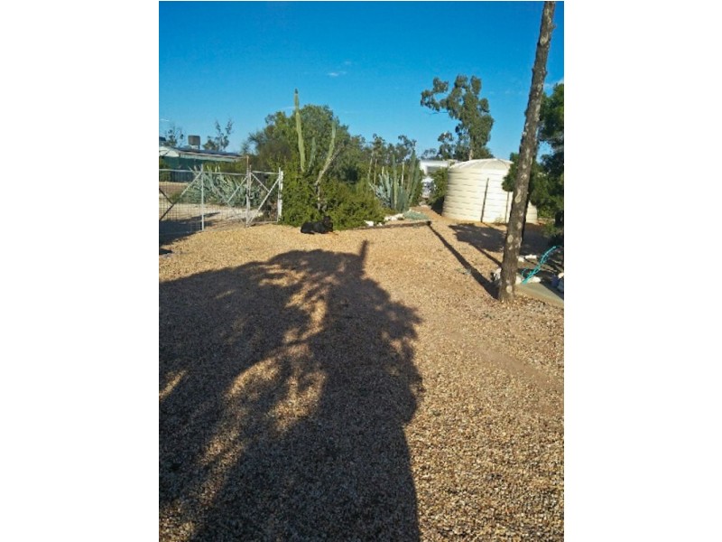 WLL16365 New Chum, Lightning Ridge NSW 2834