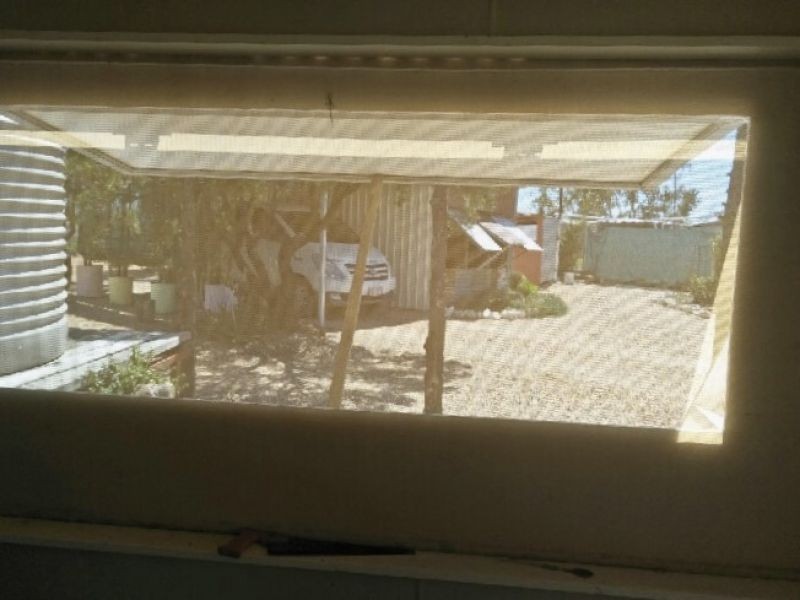 WLL16365 New Chum, Lightning Ridge NSW 2834