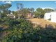 WLL16365 New Chum, Lightning Ridge NSW 2834