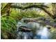 835 Caparra Road, Caparra NSW 2429