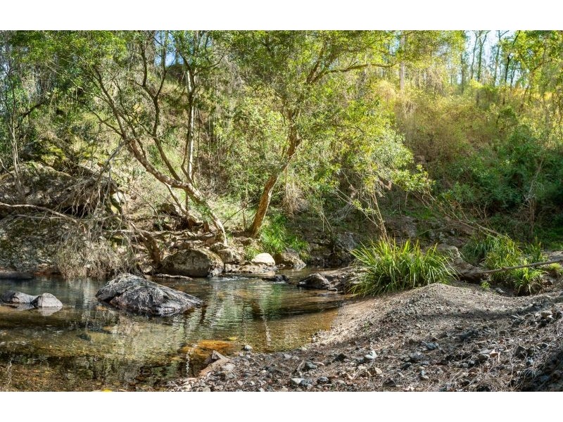 835 Caparra Road, Caparra NSW 2429