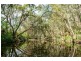 835 Caparra Road, Caparra NSW 2429