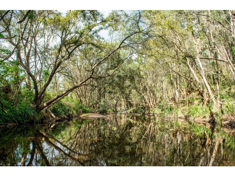 835 Caparra Road, Caparra NSW 2429