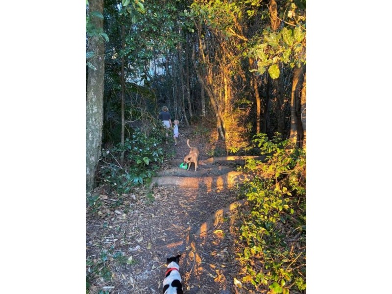 1 & 2/13 Seaview Street, East Ballina NSW 2478