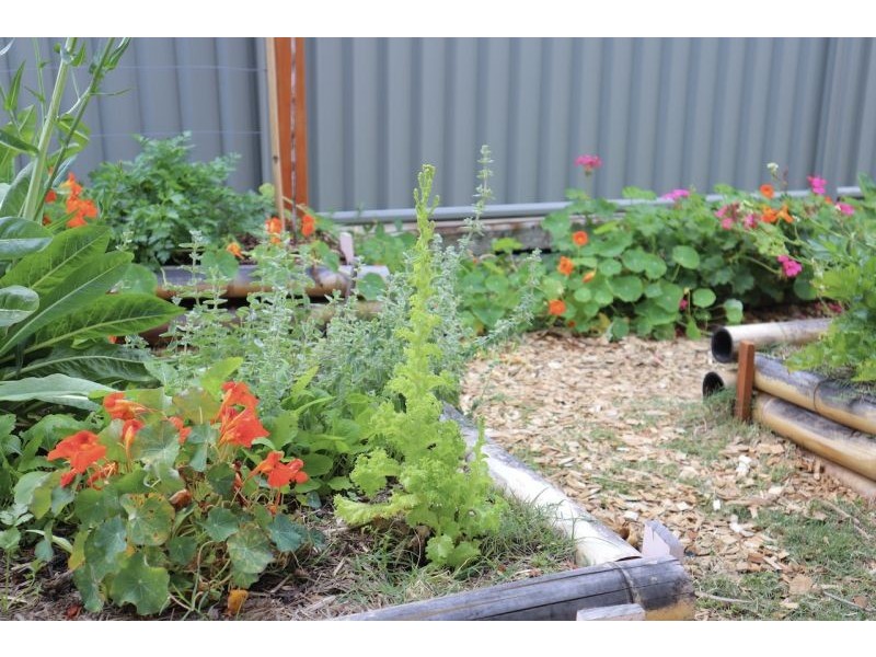 8 Byron Street, Mullumbimby NSW 2482