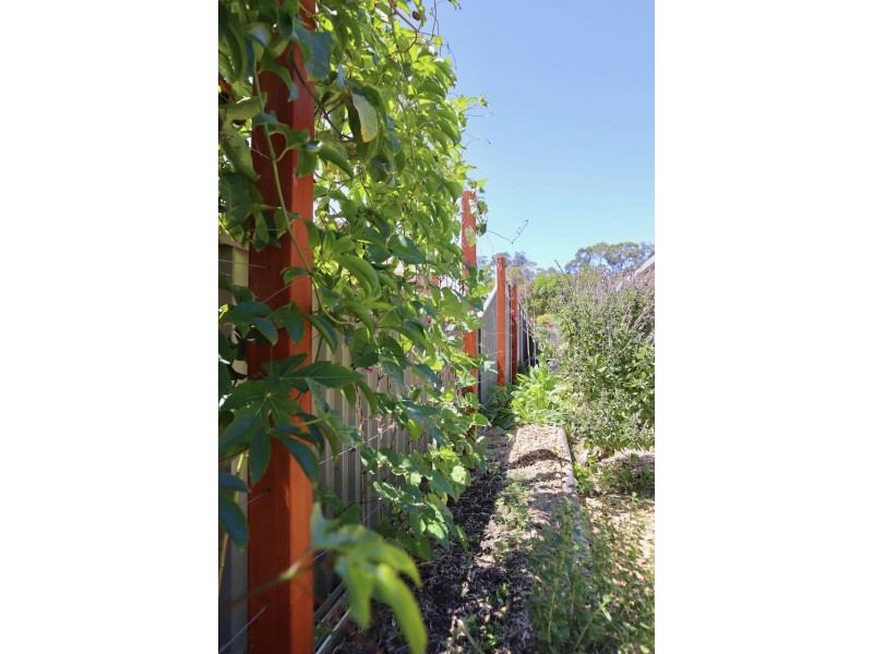 8 Byron Street, Mullumbimby NSW 2482