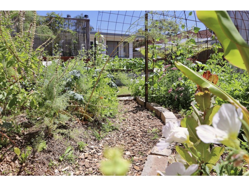 Mullumbimby NSW 2482