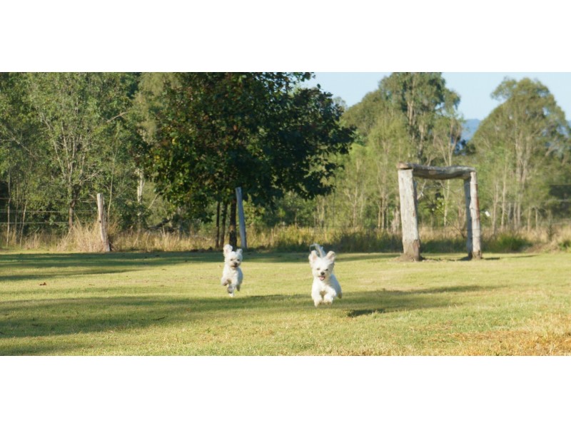4305 Beaudesert-Nerang Rd, Tabragalba QLD 4285