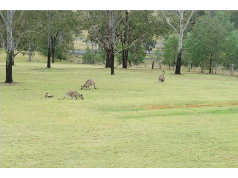 4305 Beaudesert-Nerang Rd, Tabragalba QLD 4285