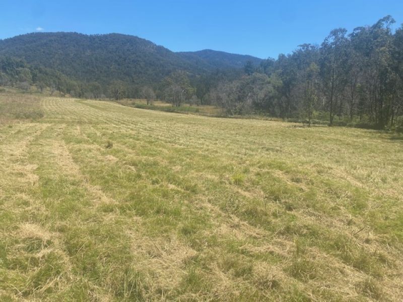 451 Cockerawombeeba Road, Forbes River NSW 2446