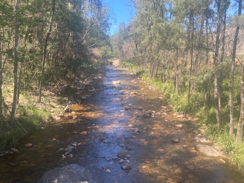 451 Cockerawombeeba Road, Forbes River NSW 2446