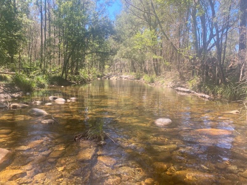 451 Cockerawombeeba Road, Forbes River NSW 2446