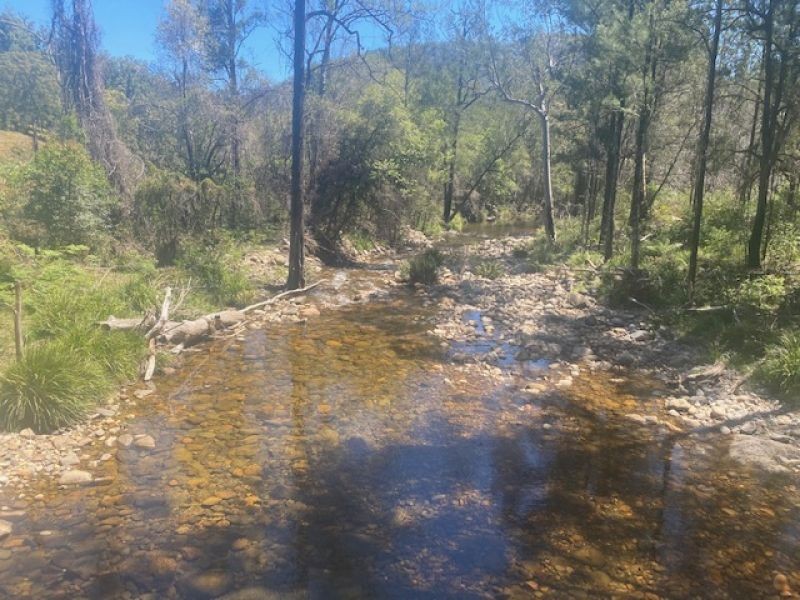 451 Cockerawombeeba Road, Forbes River NSW 2446