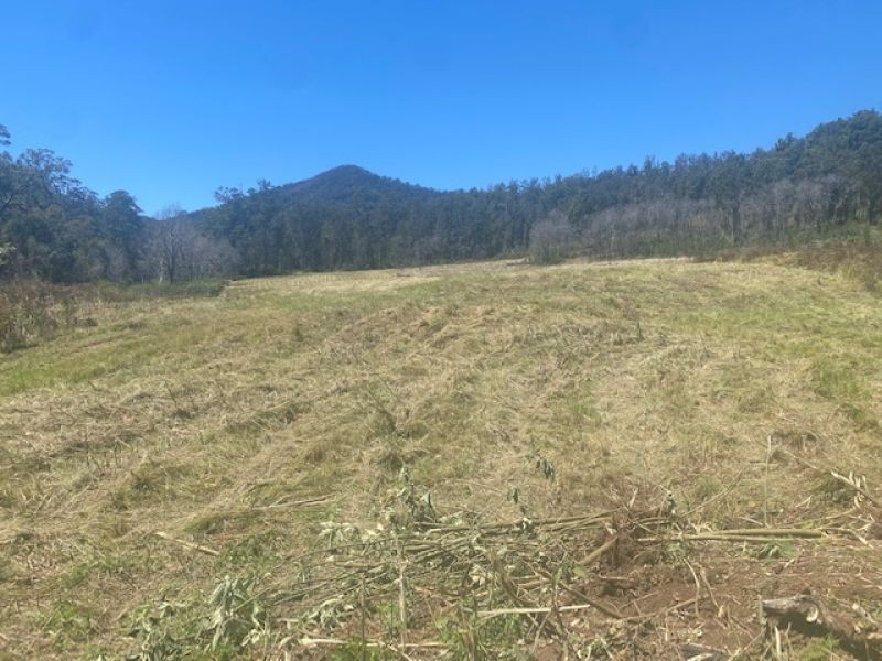 451 Cockerawombeeba Road, Forbes River NSW 2446