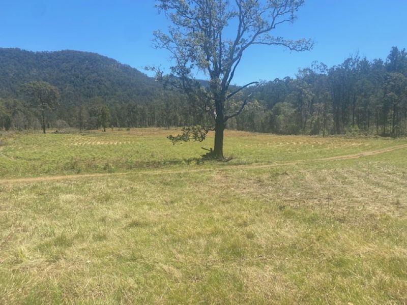 451 Cockerawombeeba Road, Forbes River NSW 2446