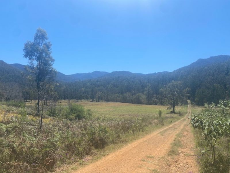 451 Cockerawombeeba Road, Forbes River NSW 2446