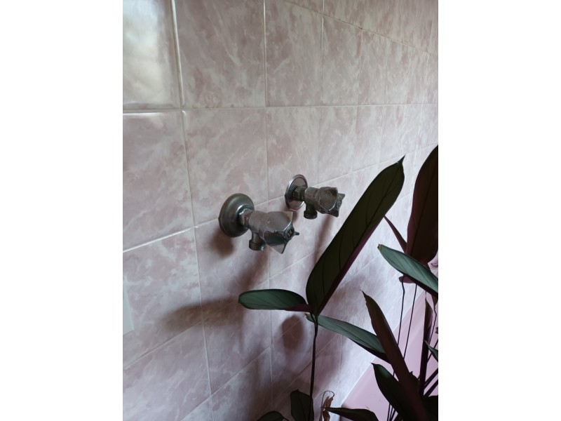 5a Ebley Street, Bondi Junction NSW 2022