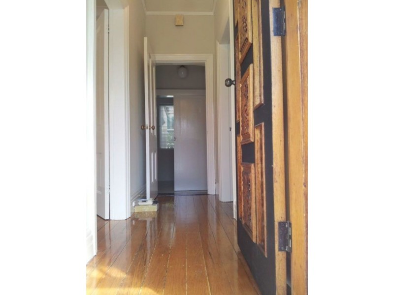 5a Ebley Street, Bondi Junction NSW 2022