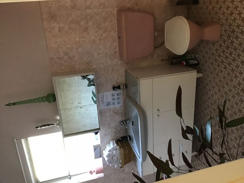 5a Ebley Street, Bondi Junction NSW 2022