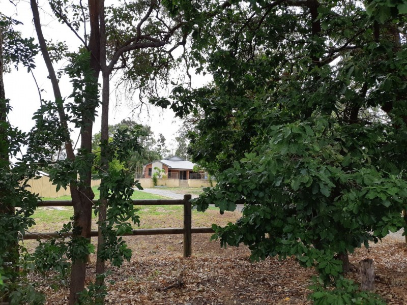 60 Connell Avenue, Martin WA 6110