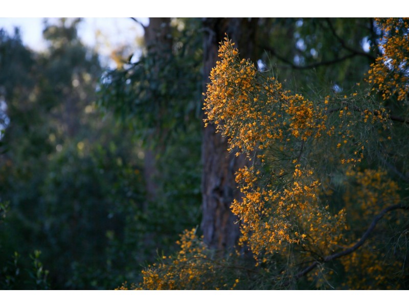 222 Parrish Lane, Eukey QLD 4380