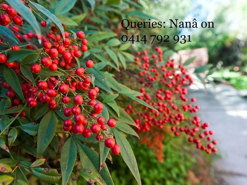 19A Bertram St, Darlington WA 6070