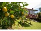 57 Cunningham Street, South Burnie TAS 7320