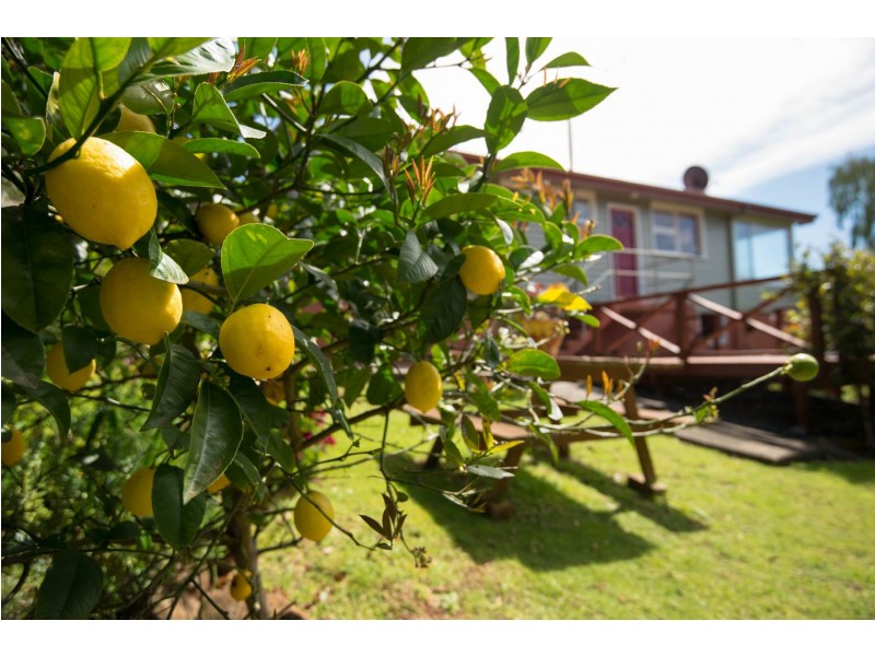 57 Cunningham Street, South Burnie TAS 7320
