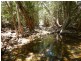 Lot 6 Stony Creek Road, Cardwell QLD 4849