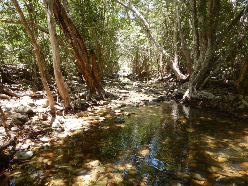 Lot 6 Stony Creek Road, Cardwell QLD 4849