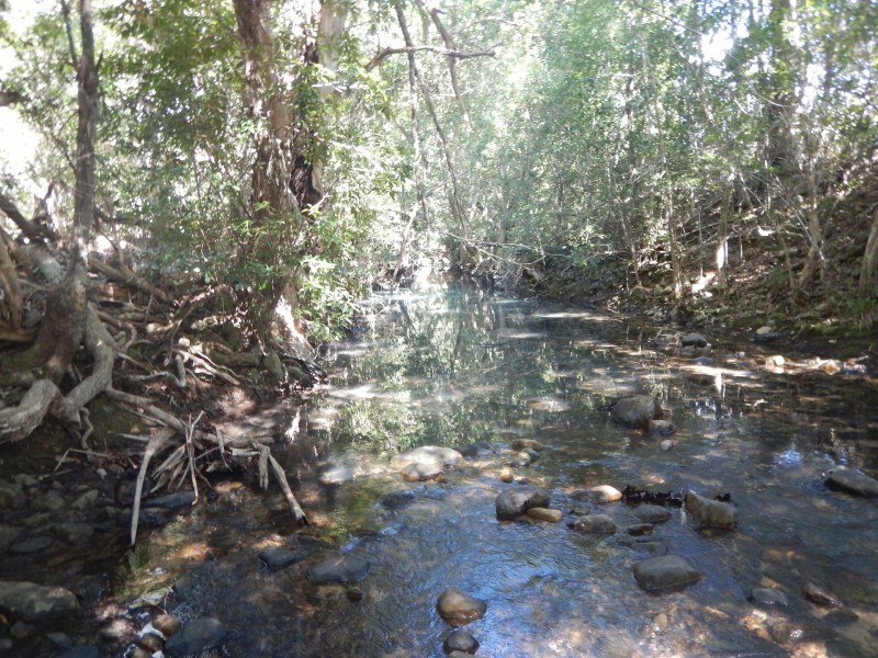 Lot 6 Stony Creek Road, Cardwell QLD 4849