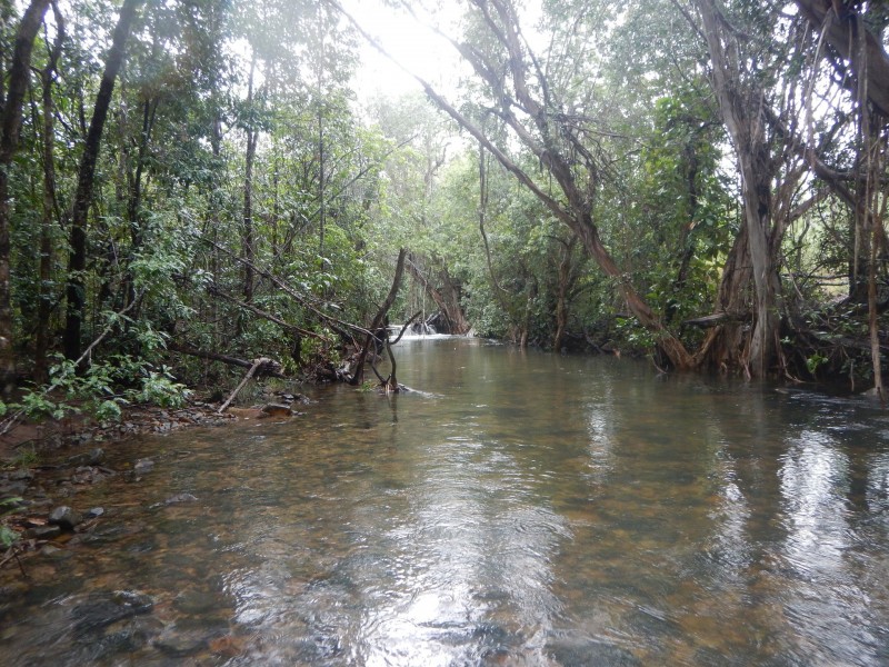 Lot 6 Stony Creek Road, Cardwell QLD 4849