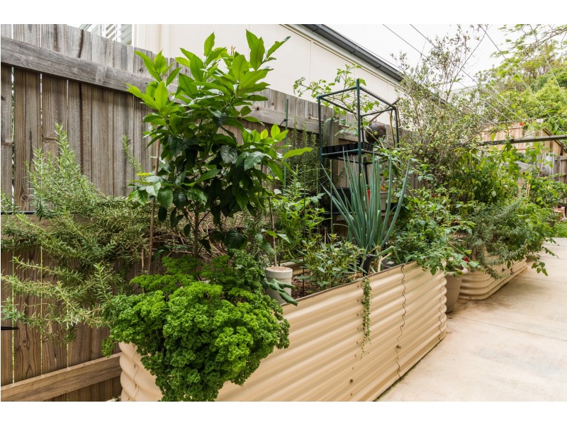 8 Dempster Street, Toowong QLD 4066