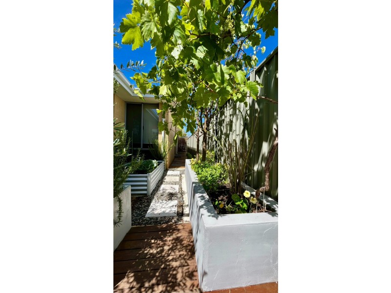 56 Tiliqua Crescent, Wandi WA 6167