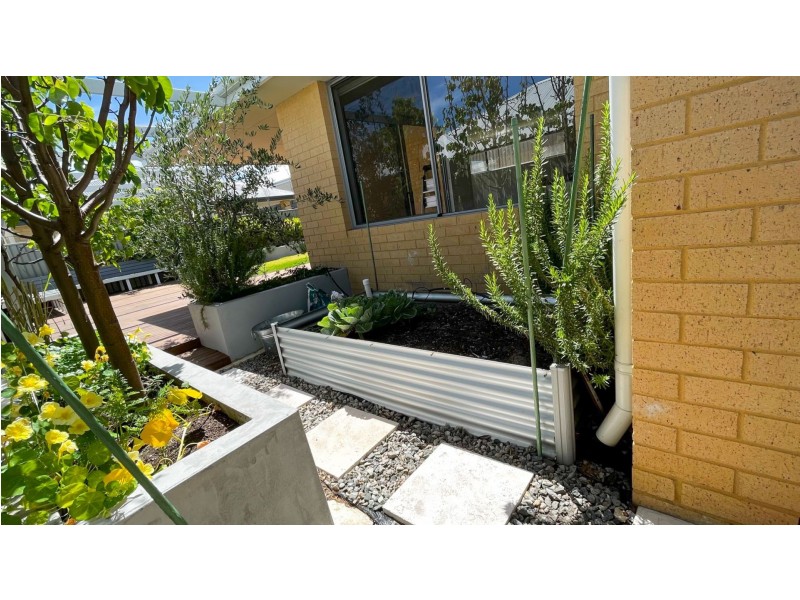 56 Tiliqua Crescent, Wandi WA 6167