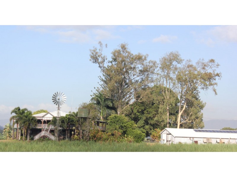 1540 Hawkins Creek Road, Hawkins Creek QLD 4850