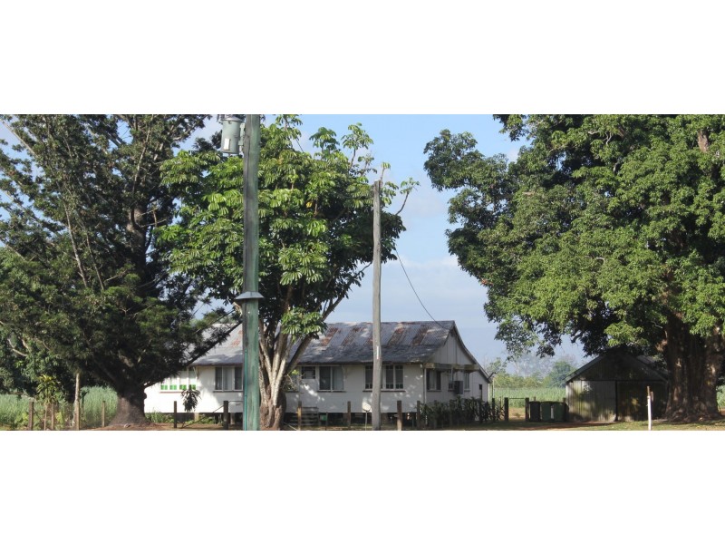 1540 Hawkins Creek Road, Hawkins Creek QLD 4850