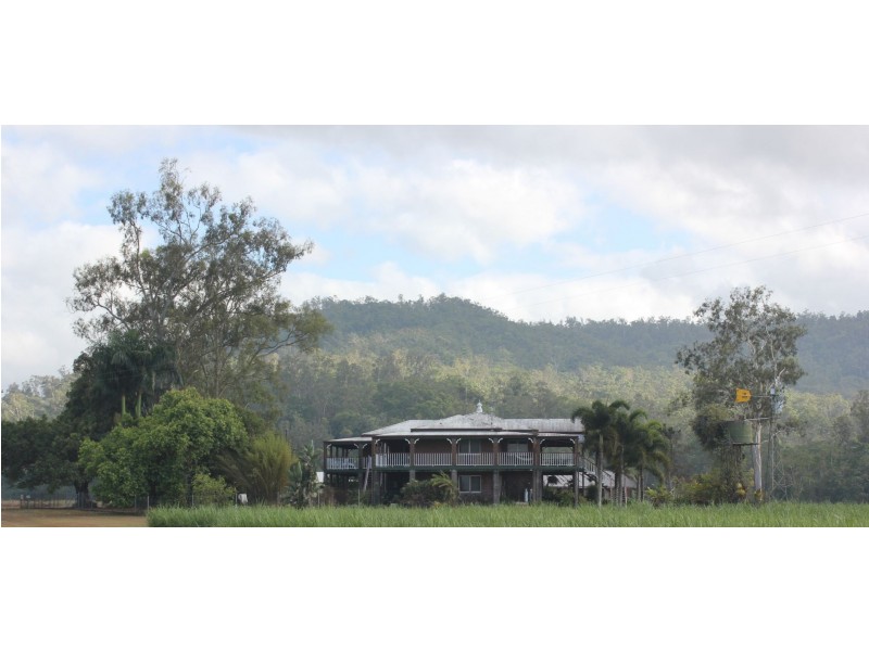 1540 Hawkins Creek Road, Hawkins Creek QLD 4850