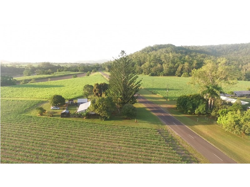 1540 Hawkins Creek Road, Hawkins Creek QLD 4850