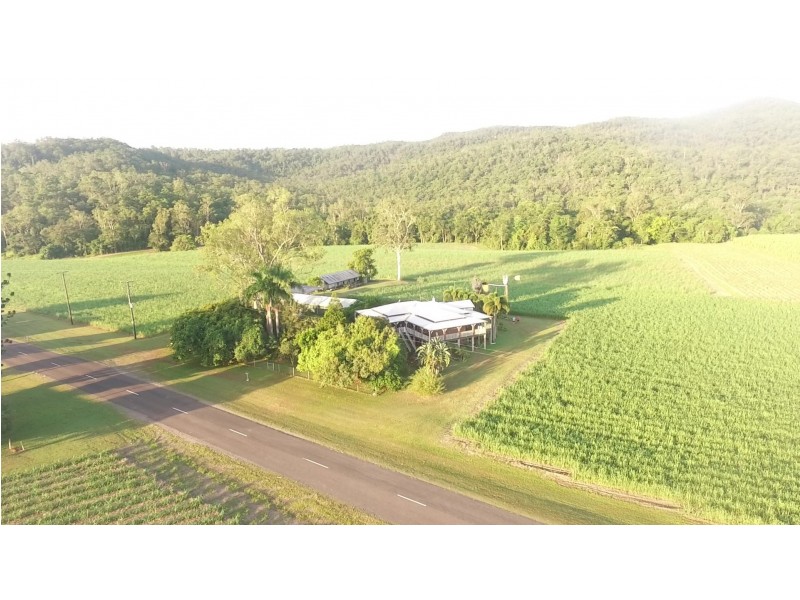 1540 Hawkins Creek Road, Hawkins Creek QLD 4850