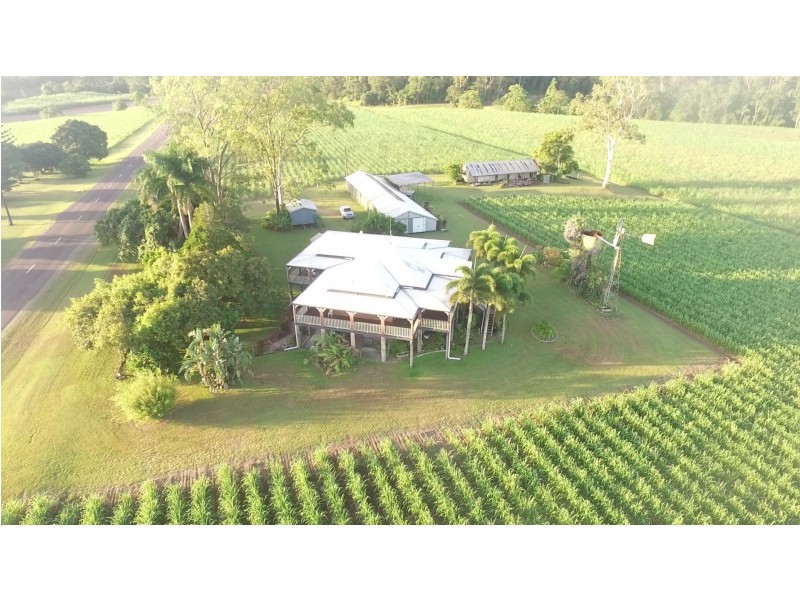 1540 Hawkins Creek Road, Hawkins Creek QLD 4850