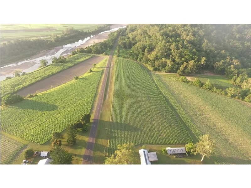 1540 Hawkins Creek Road, Hawkins Creek QLD 4850