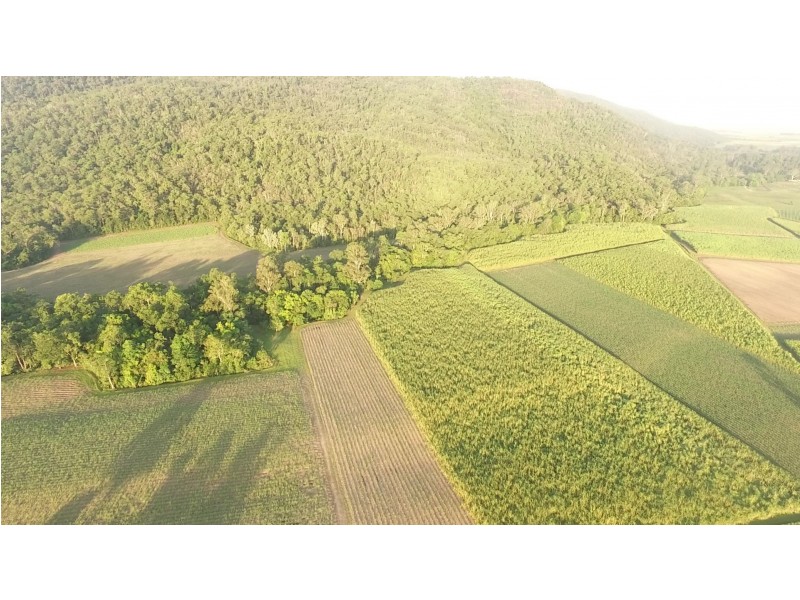 1540 Hawkins Creek Road, Hawkins Creek QLD 4850