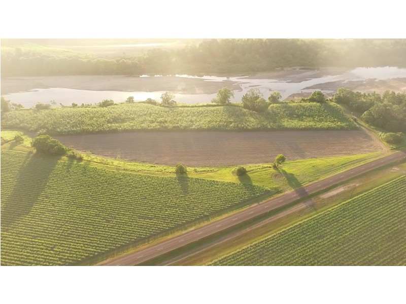 1540 Hawkins Creek Road, Hawkins Creek QLD 4850