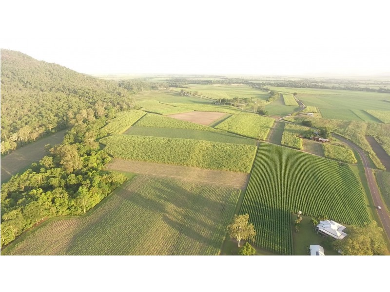 1540 Hawkins Creek Road, Hawkins Creek QLD 4850