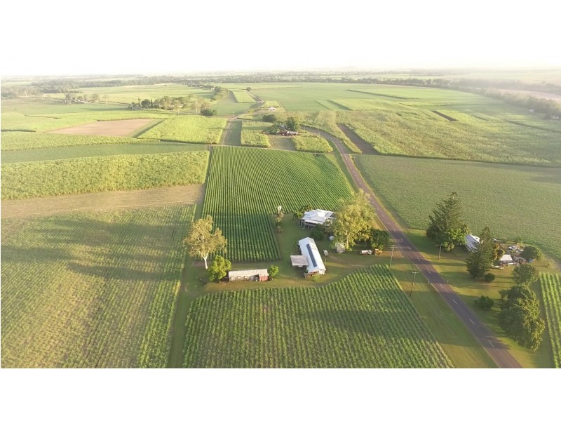 1540 Hawkins Creek Road, Hawkins Creek QLD 4850